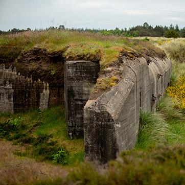 Oksbøl terræn